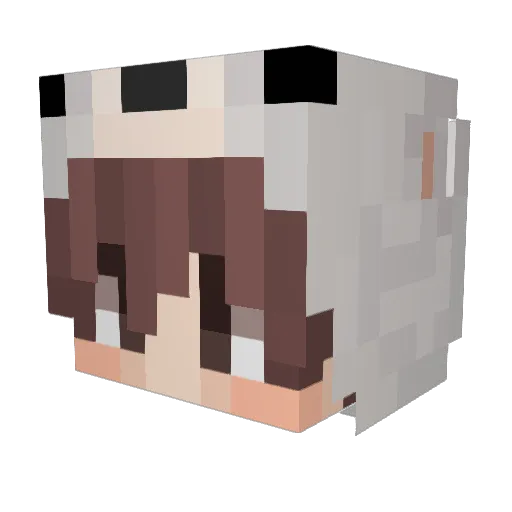 WOO_DAL Minecraft avatar head, 3D render