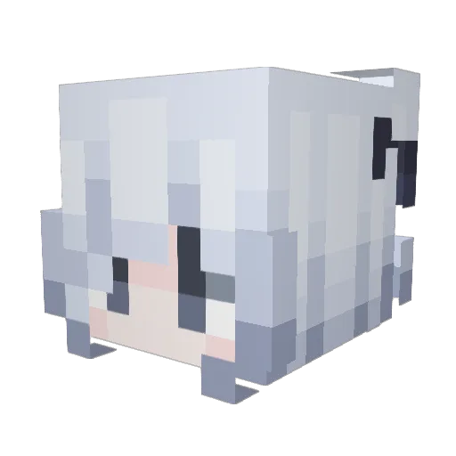 WORLDTULIKORPPIS Minecraft avatar head, 3D render