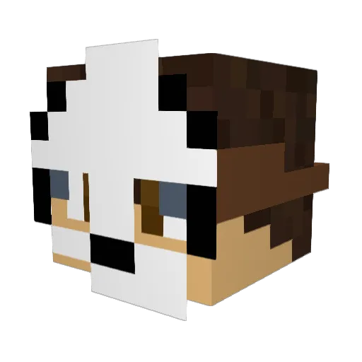 WOUWeenPANDAH Minecraft avatar head, 3D render