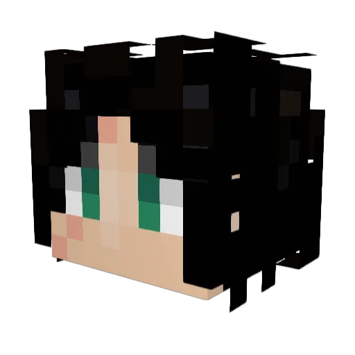 WOWAKA39 Minecraft avatar head, 3D render