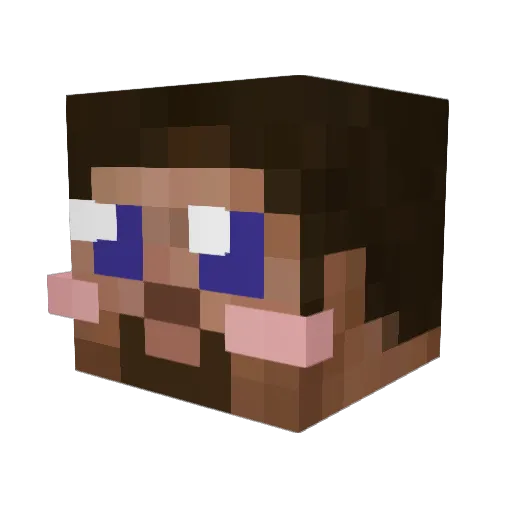 WO_B Minecraft avatar head, 3D render