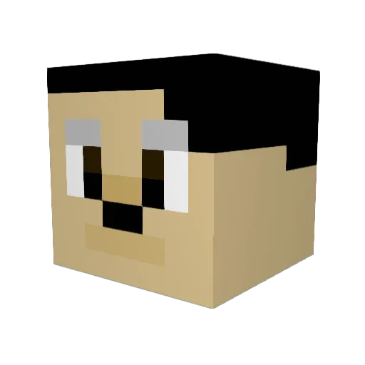 WOland_12 Minecraft avatar head, 3D render