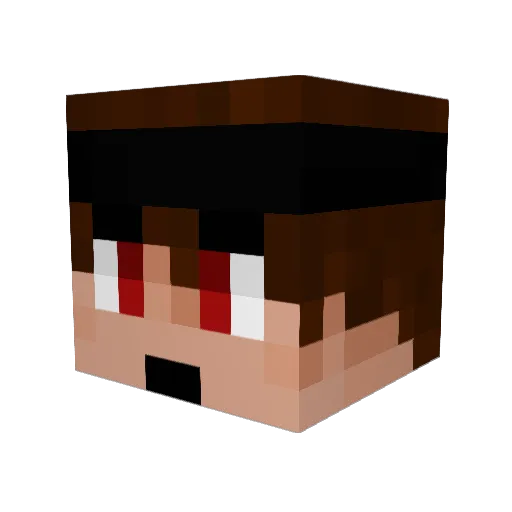 WPKID163 Minecraft avatar head, 3D render
