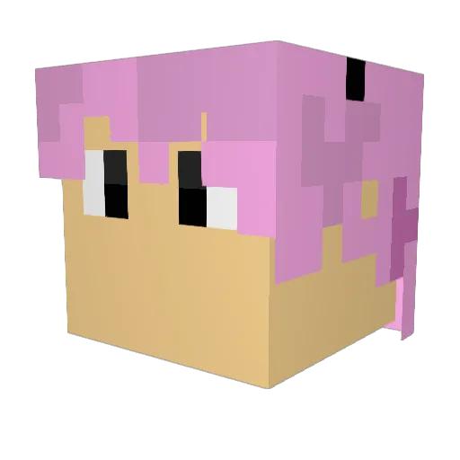 WPKID_MONEY Minecraft avatar head, 3D render