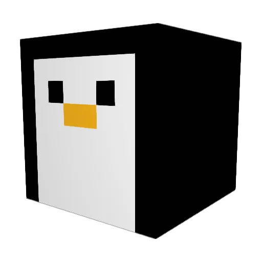 WREQBA Minecraft avatar head, 3D render
