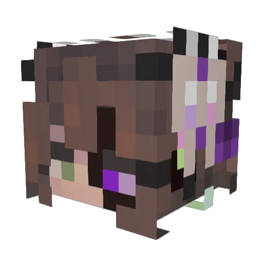 WRGL Minecraft avatar head, 3D render