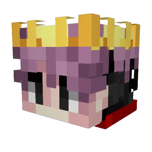 WRN_Quan Minecraft avatar head, 3D render