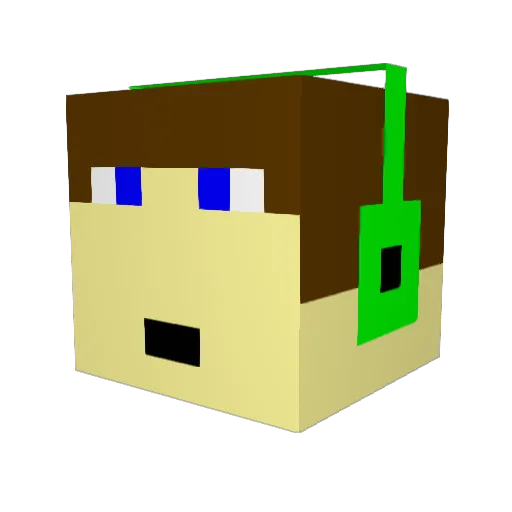 WRQ19 Minecraft avatar head, 3D render