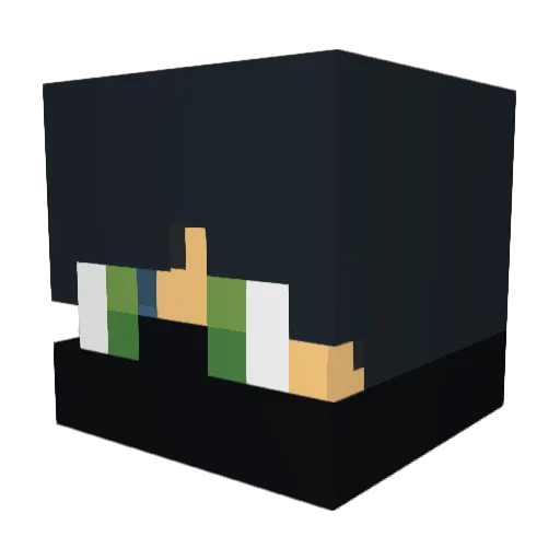 WRS_64 Minecraft avatar head, 3D render