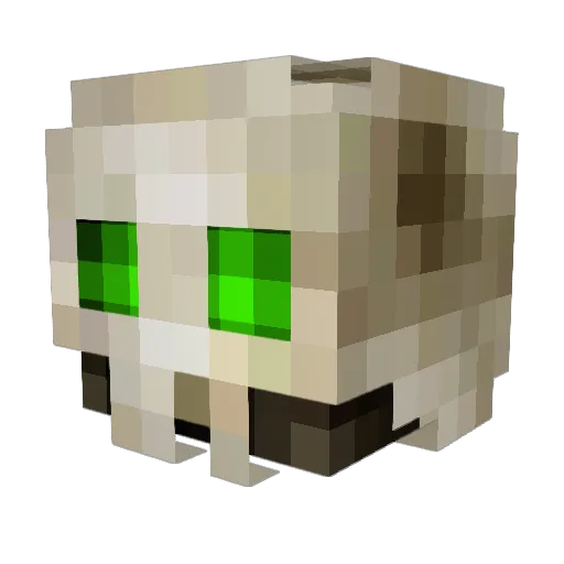 WRSmaster Minecraft avatar head, 3D render