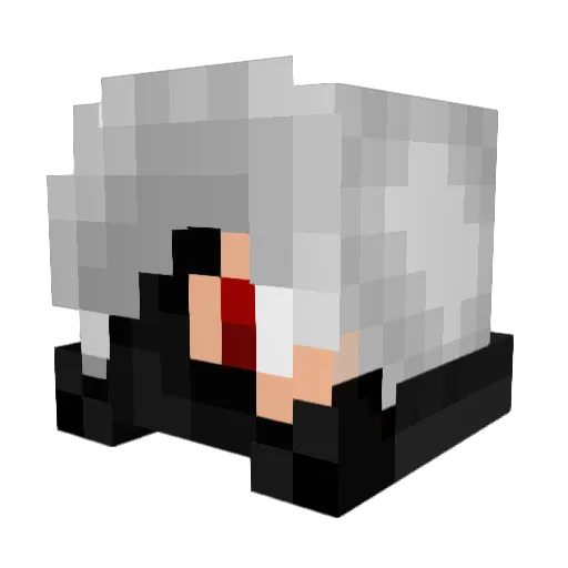WRZGamer Minecraft avatar head, 3D render