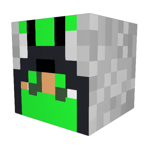 WR_2017 Minecraft avatar head, 3D render