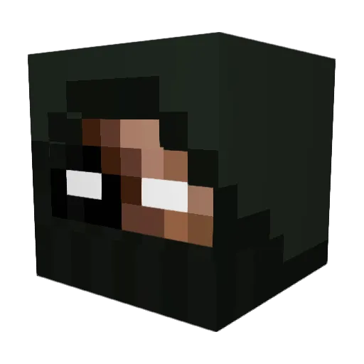 WR_50 Minecraft avatar head, 3D render