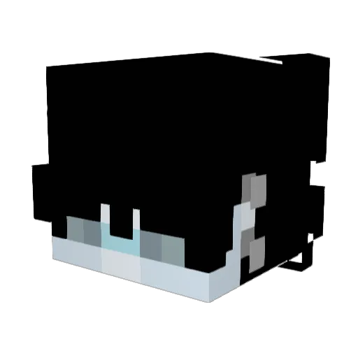 WR_X Minecraft avatar head, 3D render