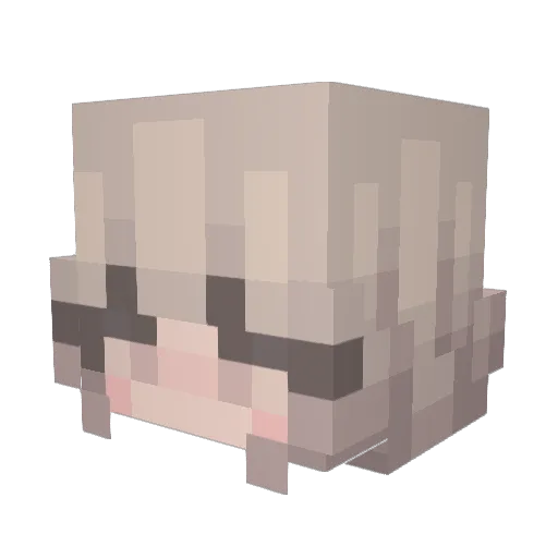 WRitrum Minecraft avatar head, 3D render