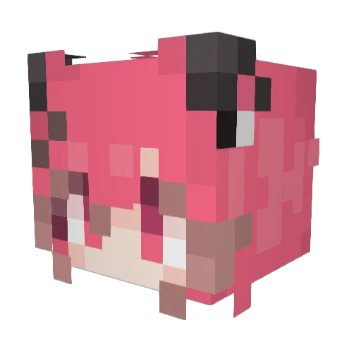 WSBeam Minecraft avatar head, 3D render