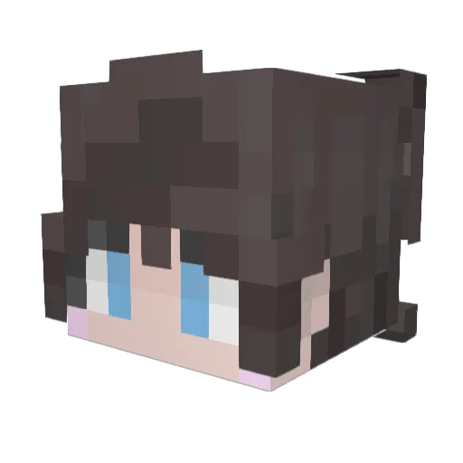 WS_Shuan_Q Minecraft avatar head, 3D render