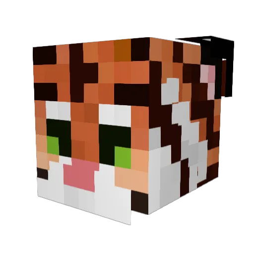 WSenzy Minecraft avatar head, 3D render