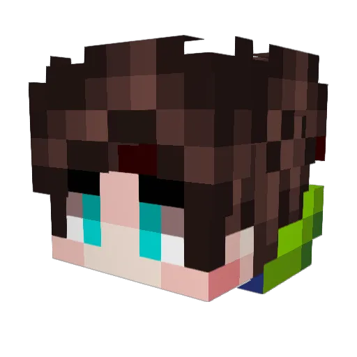WTFEveryday Minecraft avatar head, 3D render