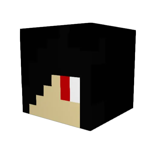 WTF_Reborn Minecraft avatar head, 3D render