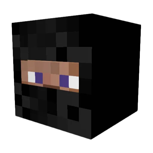 WTFd3stroyer Minecraft avatar head, 3D render