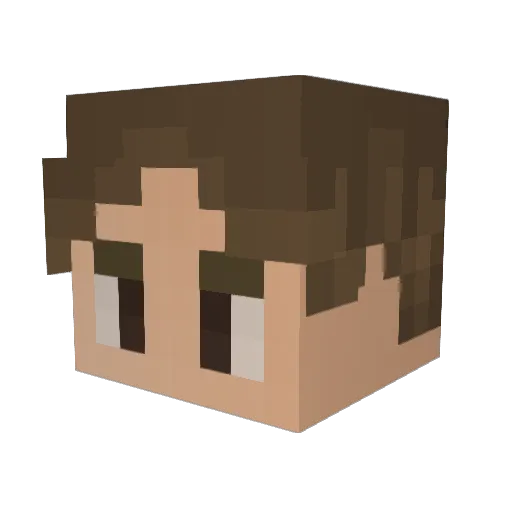 WTFwilltheone Minecraft avatar head, 3D render