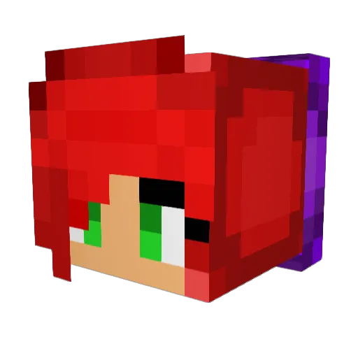 WTGkaley Minecraft avatar head, 3D render