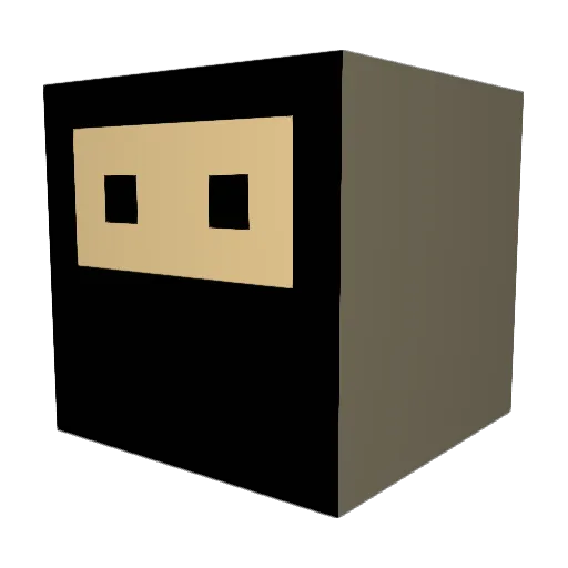 WTH41 Minecraft avatar head, 3D render