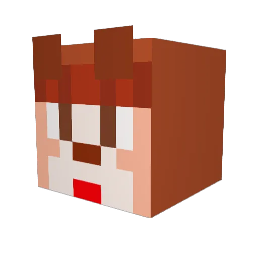WTK_JINYONGI Minecraft avatar head, 3D render