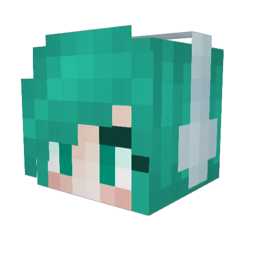 WTLredx95 Minecraft avatar head, 3D render
