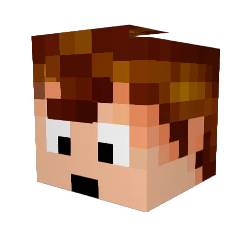 WTMshiNIDIE Minecraft avatar head, 3D render