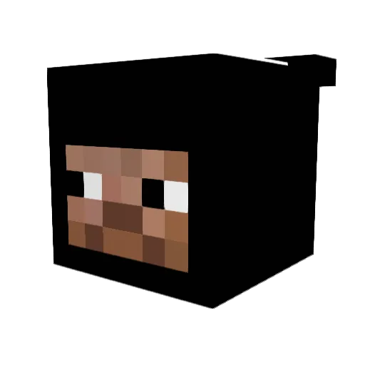 WTTNHK Minecraft avatar head, 3D render