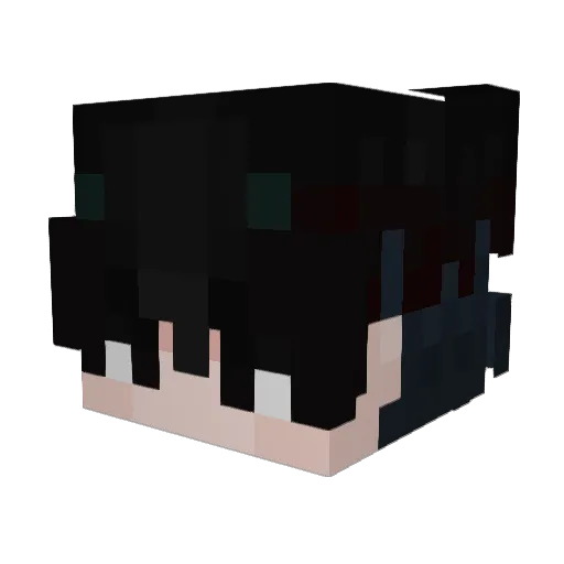WU1YAN2 Minecraft avatar head, 3D render