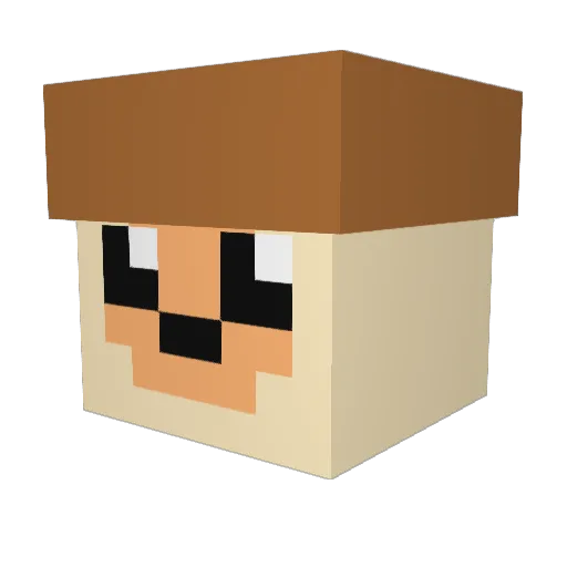 WUMPZZ Minecraft avatar head, 3D render