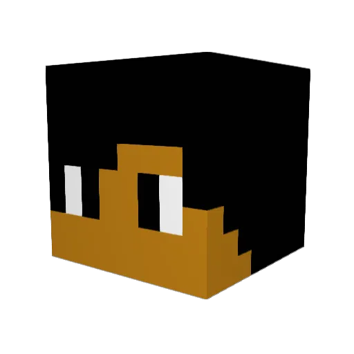 WUTBrown Minecraft avatar head, 3D render