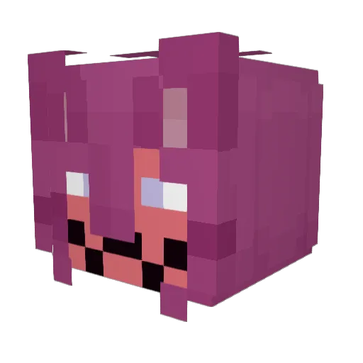 WUnTErFAiLE Minecraft avatar head, 3D render