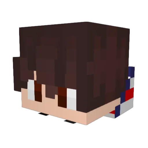 WVMountaineer Minecraft avatar head, 3D render