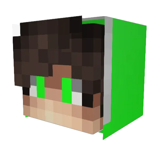 WW02TOM Minecraft avatar head, 3D render