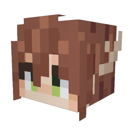 WWIIXD Minecraft avatar head, 3D render