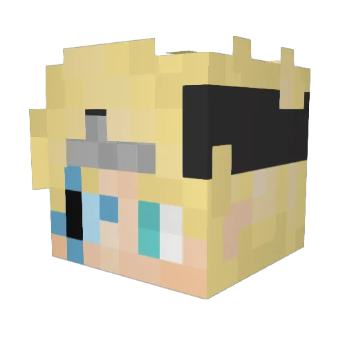 WWNNMGM Minecraft avatar head, 3D render