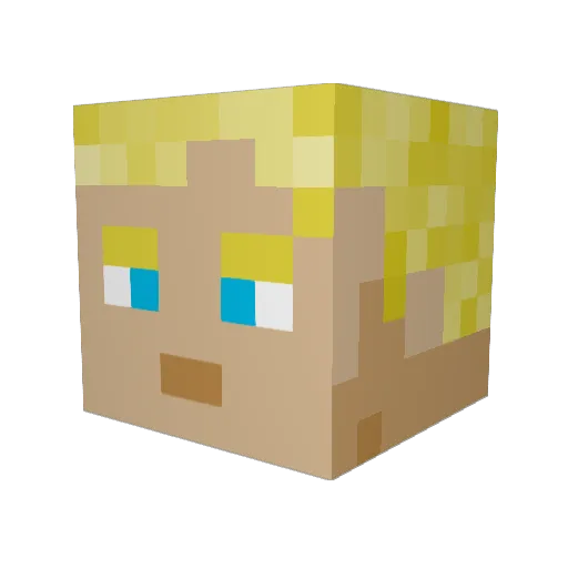 WWW2013 Minecraft avatar head, 3D render
