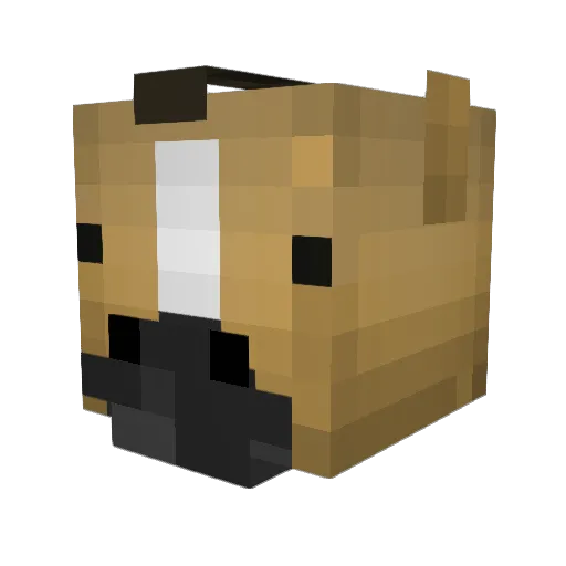 WWWW4 Minecraft avatar head, 3D render