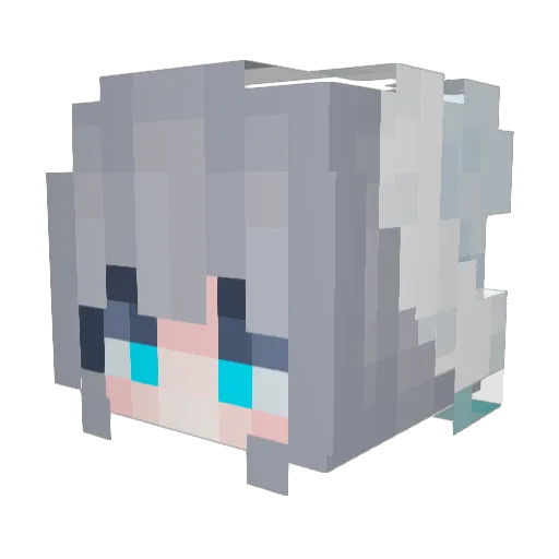 WWWWWWWWWNWWW Minecraft avatar head, 3D render