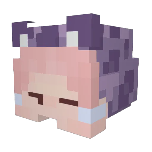 WWWhatASigma Minecraft avatar head, 3D render