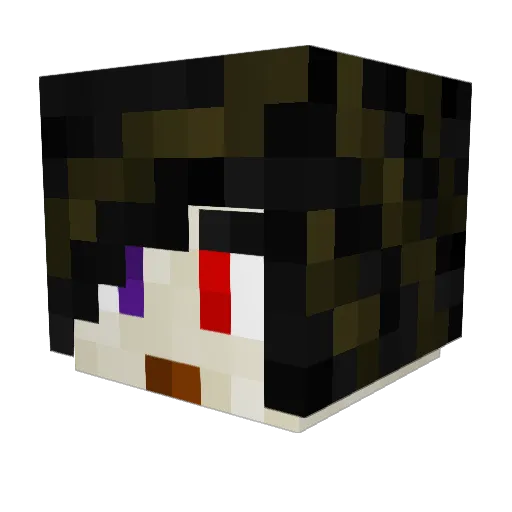 WWWman16 Minecraft avatar head, 3D render
