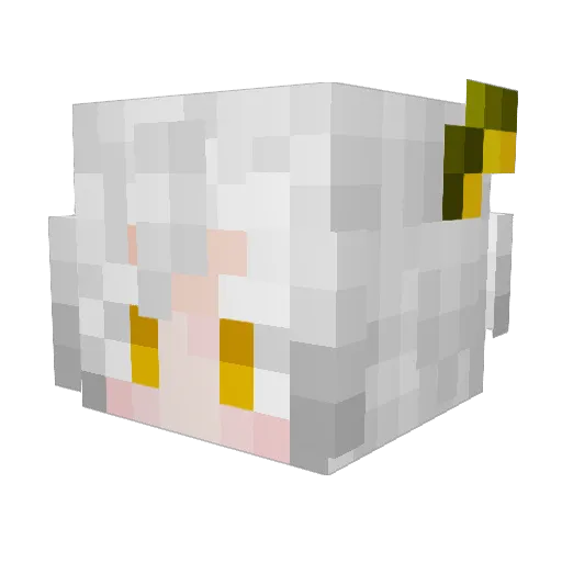 WX03th Minecraft avatar head, 3D render