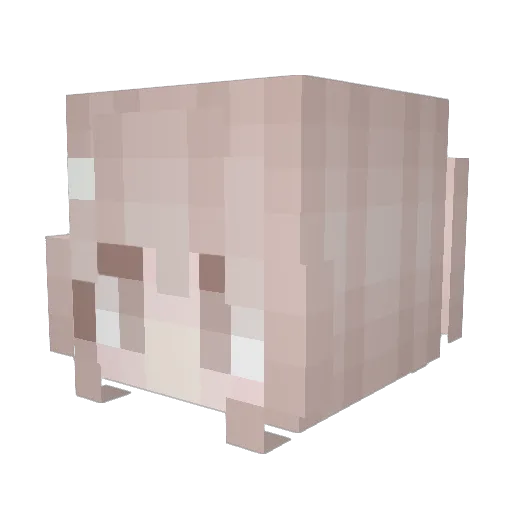 WY5T Minecraft avatar head, 3D render
