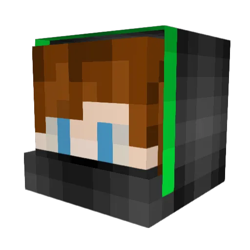 WYGR4NY Minecraft avatar head, 3D render