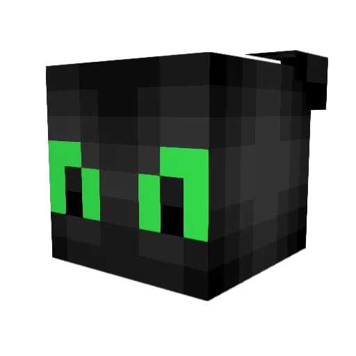 WYVERN0505 Minecraft avatar head, 3D render