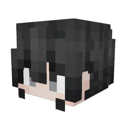 WYWY23333 Minecraft avatar head, 3D render